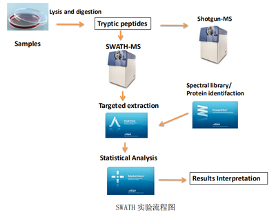SWATH 定量蛋白質組學數據處理服務